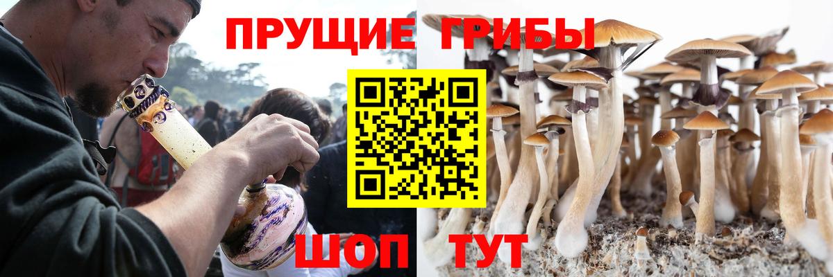 Галлюциногенные грибы прущие грибы  Вход с VPN  Тольятти 